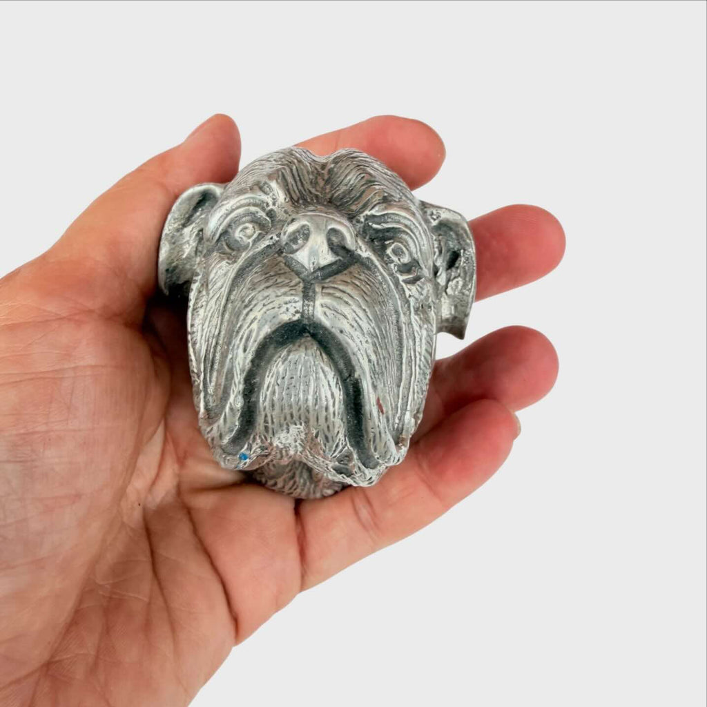 Figura Piero Per Atena Testa di Cane Bulldog inglese o a un Bullmastiff