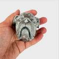 Figura Piero Per Atena Testa di Cane Bulldog inglese o a un Bullmastiff